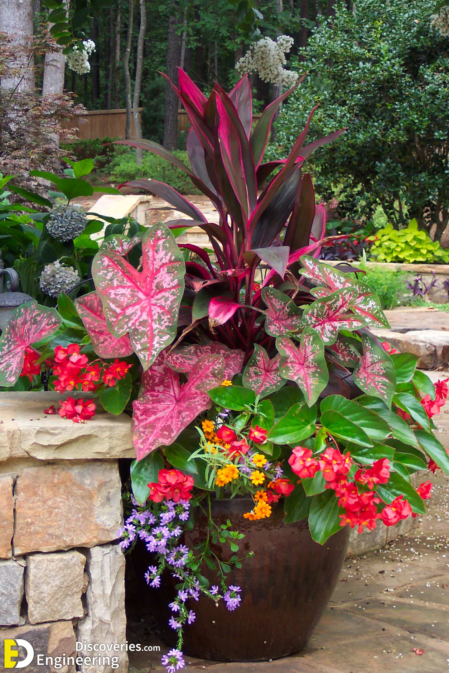 flower-gardens-in-the-south-jenny-hardgrave-img_0fd1f3a30f342f6a_14-4128-1-4e38fc4.jpg