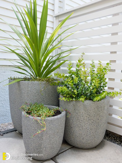 trio-of-pots-homescapes-img_d48148130aa6d9c4_4-4942-1-82509be.jpg