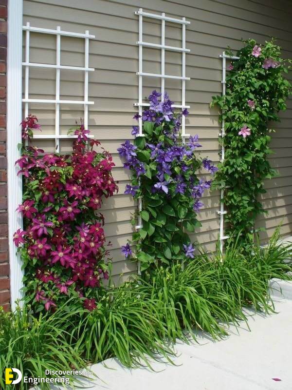 09-front-yard-landscaping-garden-ideas-homebnc.jpg