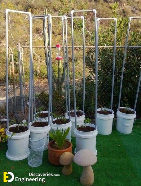 90e307e369012f75a2d1b393c8f9ceb7-growing-tomatoes-in-containers-growing-vegetables-1.jpg