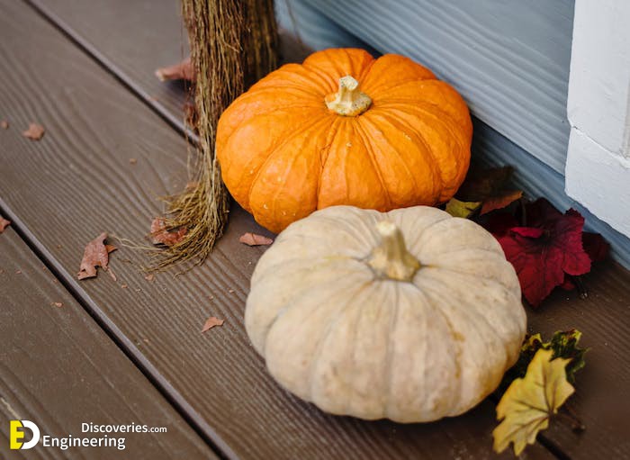 DIY-Autumn-decorations-3.jpeg