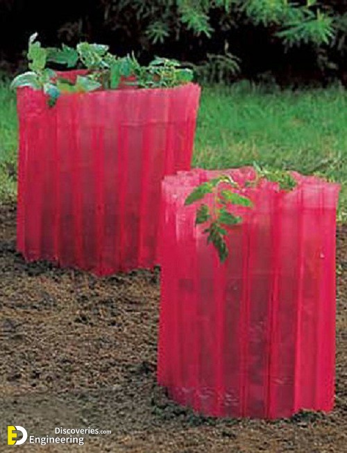 Garden-tomatoes-tips7.jpg