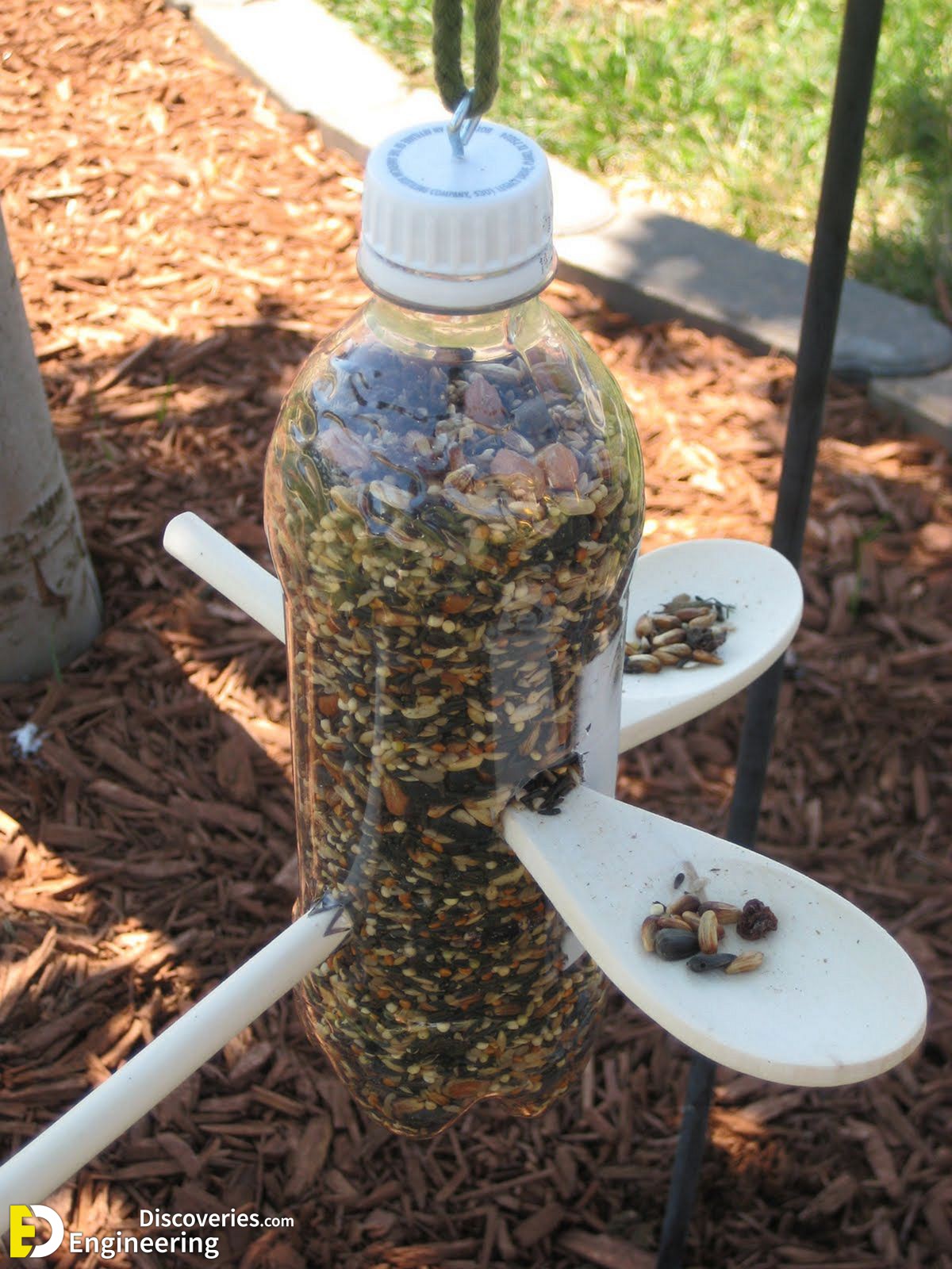 Plastic-Bottle-Bird-Feeder.jpg