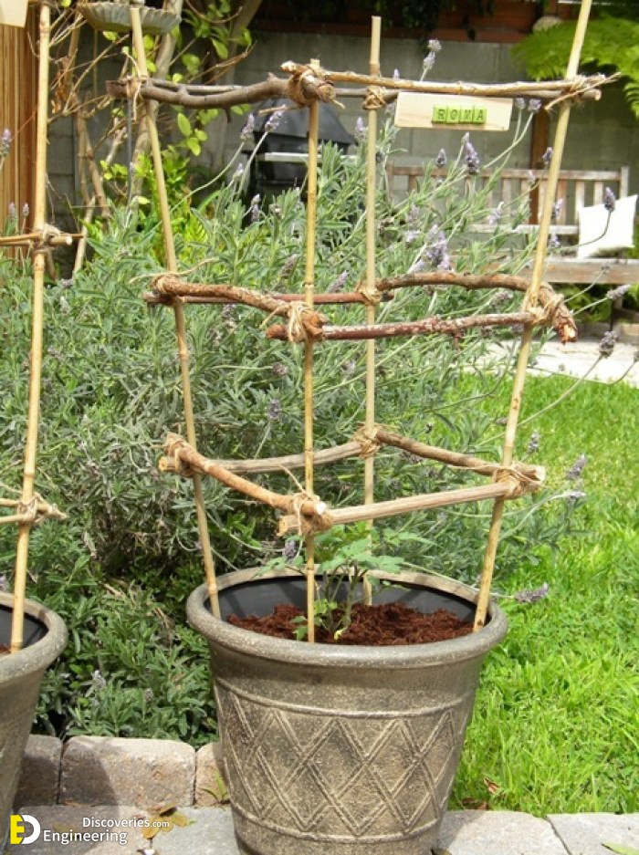 tomato-support-ideas-30.jpg