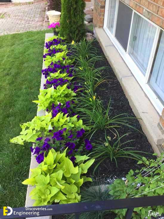 under-windows-small-flowers-garden.jpg