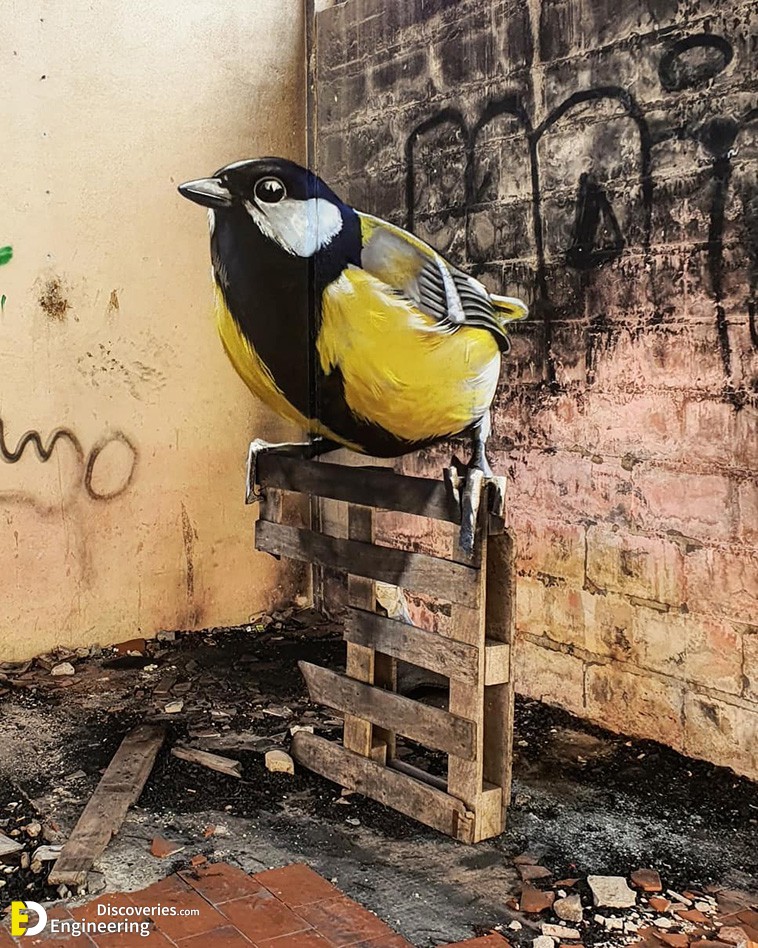 3d-murals-15.jpg