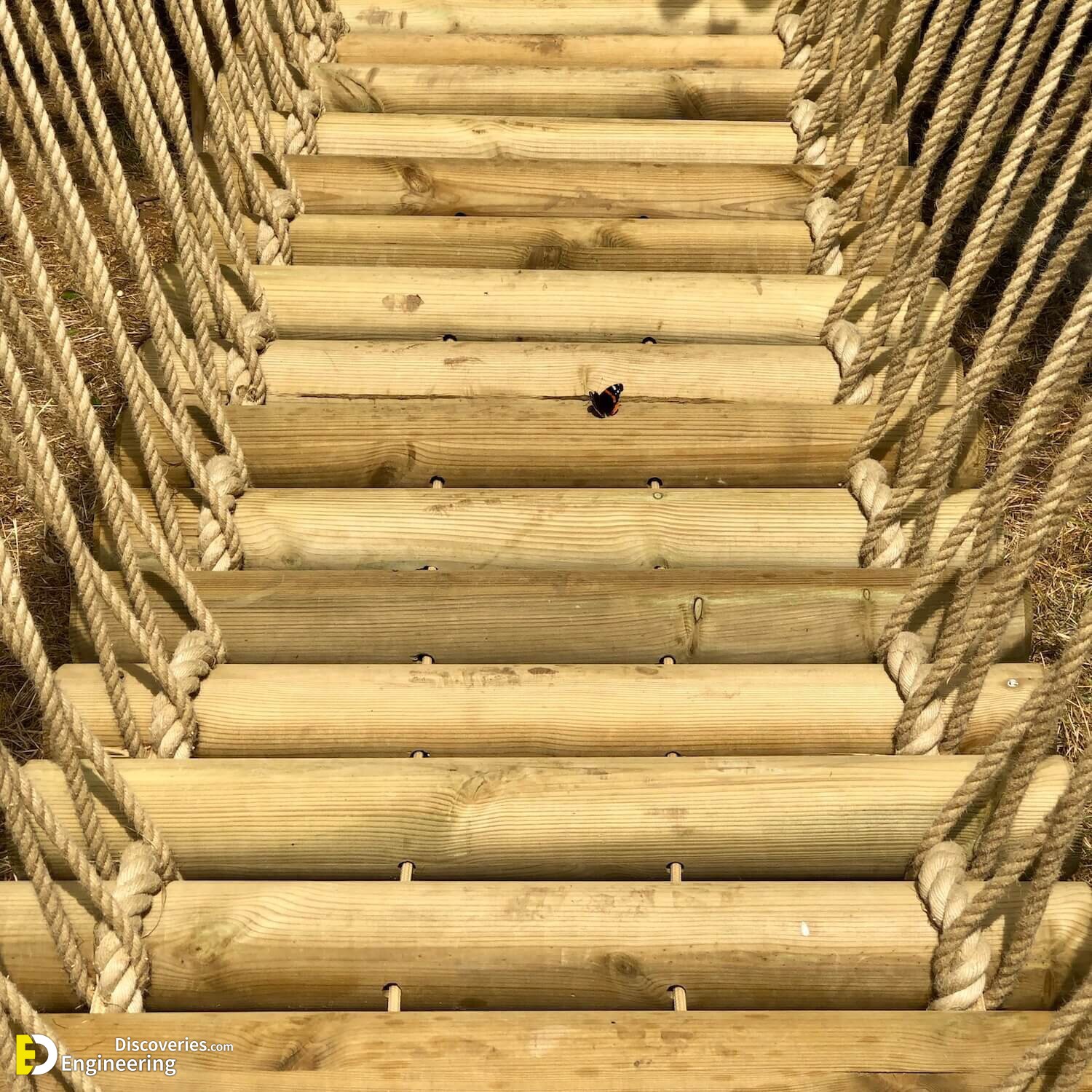 Log-Rope-Bridge.jpeg