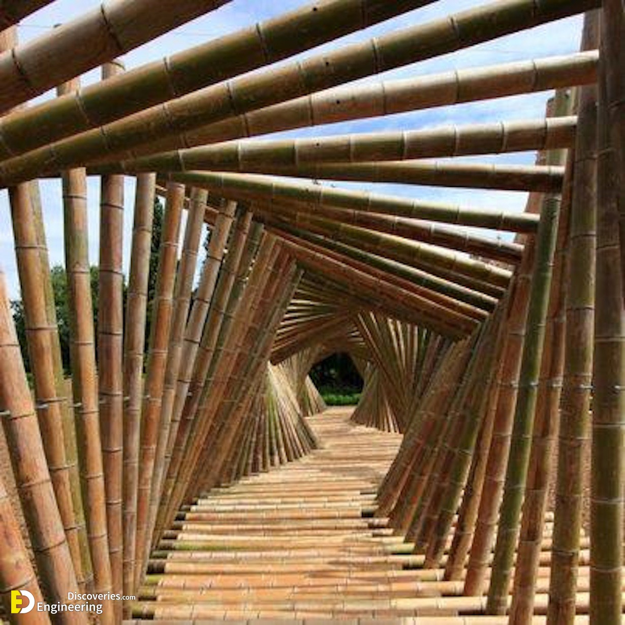 pergola-en-movimiento.jpg