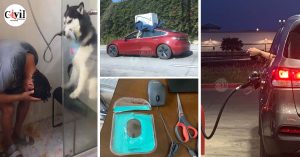 26 Funny Photos Without Context That Get Weirder The Longer You Look At ...