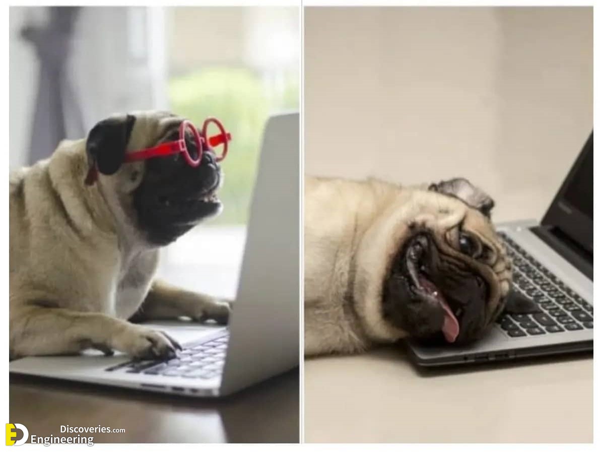 5-Work-from-Home-Meme-Audio-Call.jpg