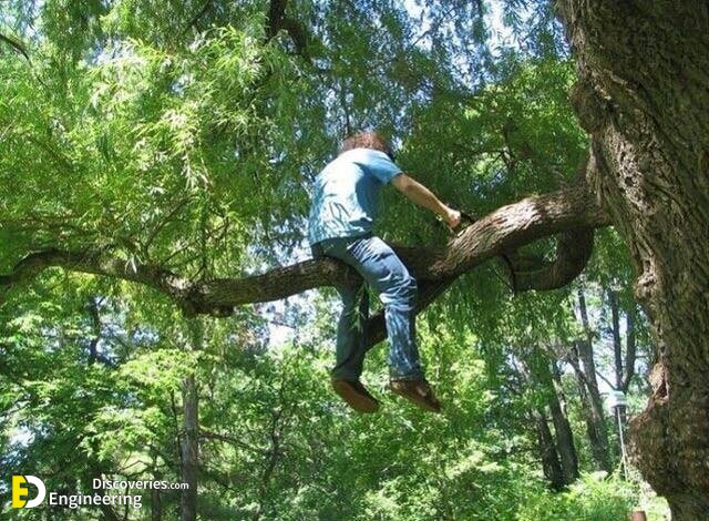 Dear-God-make-me-a-bird-so-I-can-fly-far-away.jpg