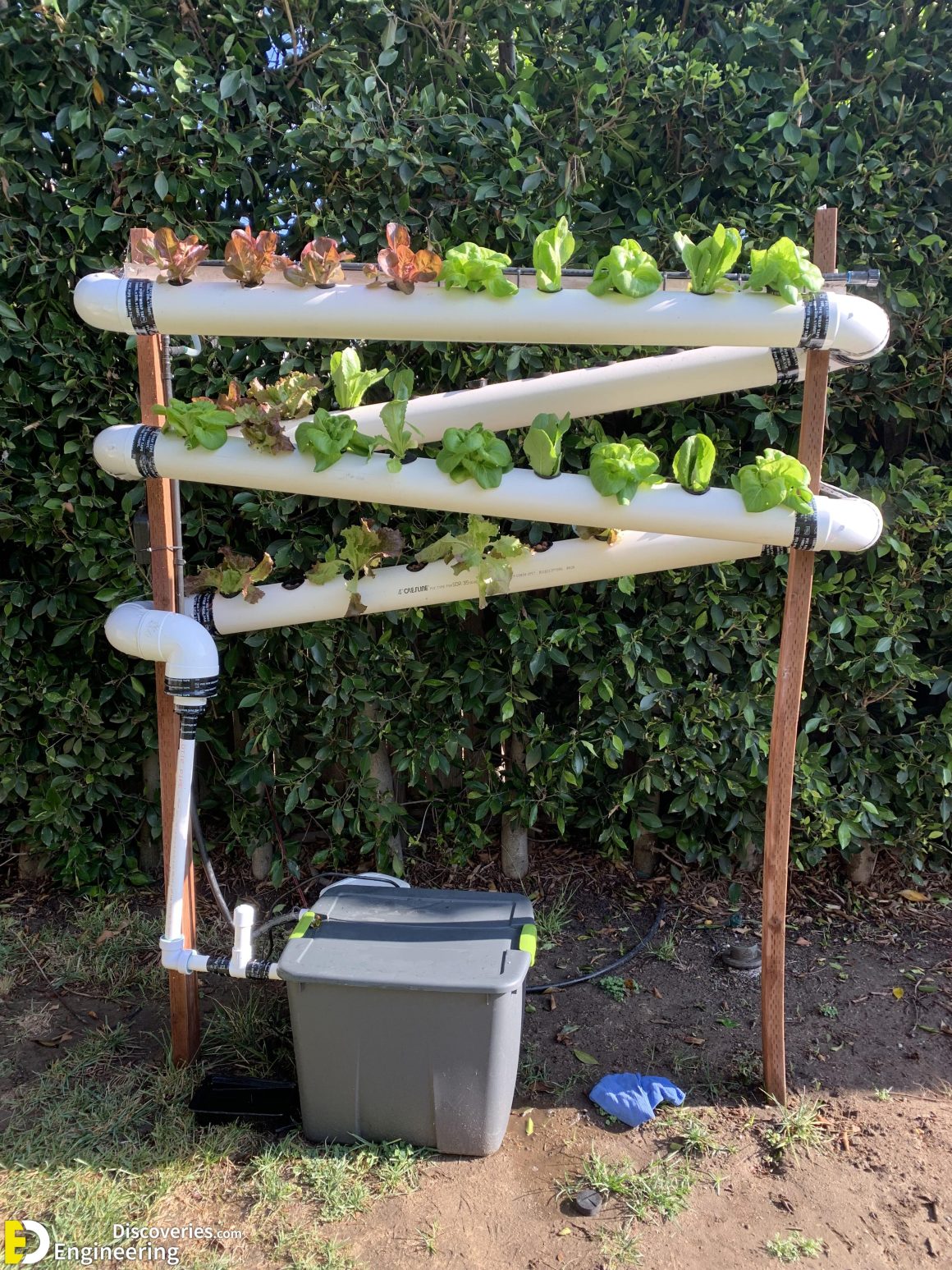 Everything You Need To know About Hydroponics Engineering Discoveries