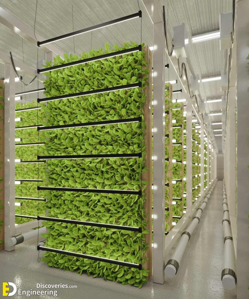 Everything You Need To know About Hydroponics Engineering Discoveries