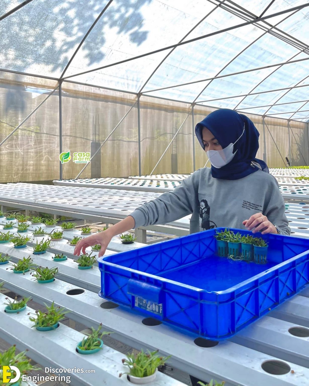 Everything You Need To know About Hydroponics Engineering Discoveries