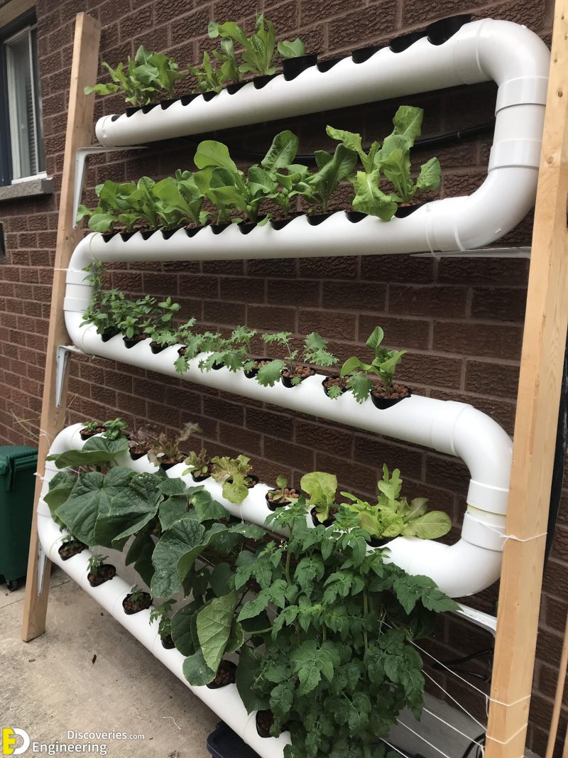 Everything You Need To know About Hydroponics Engineering Discoveries