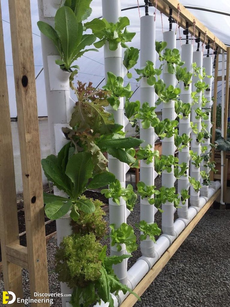 Everything You Need To know About Hydroponics Engineering Discoveries