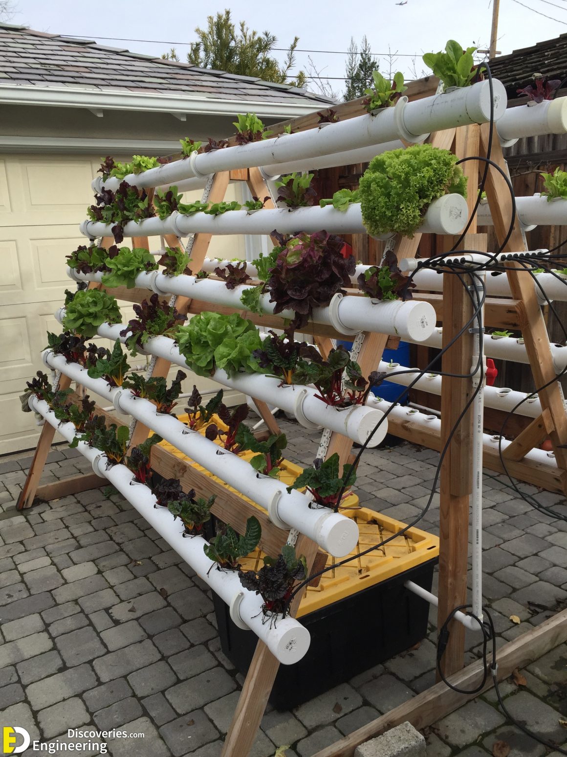 Everything You Need To know About Hydroponics Engineering Discoveries