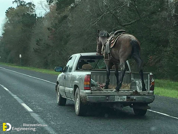 4-stupid-people-on-the-road-108-60d07d57a7f42__700.jpg