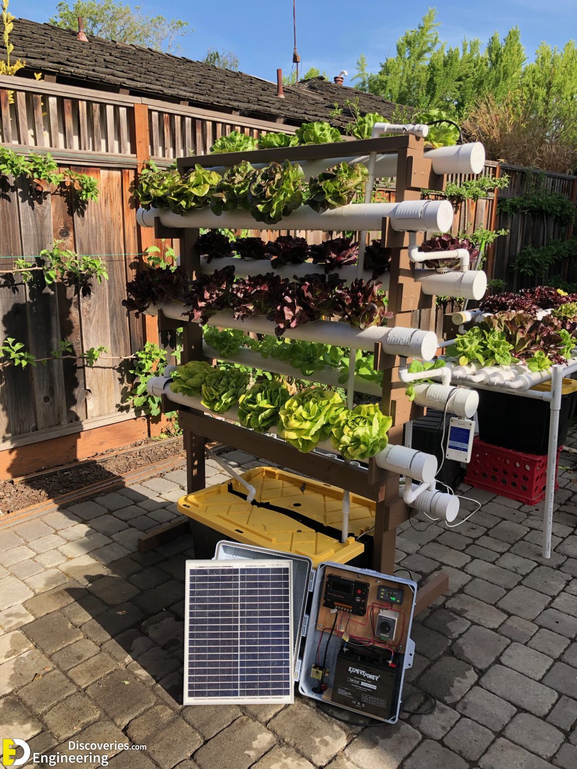 Everything You Need To know About Hydroponics Engineering Discoveries