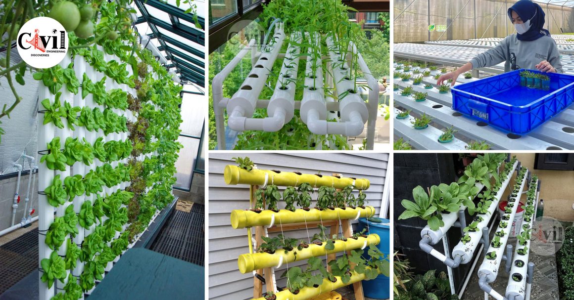 Everything You Need To Know About Hydroponics Engineering Discoveries