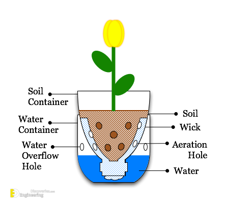 5-Illustration-Sub-Irrigated_Planter_from_pop_bottle.png