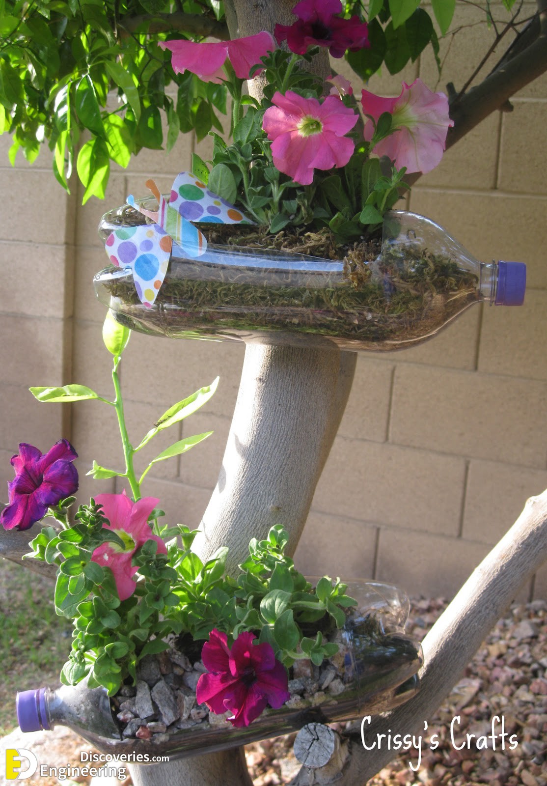 5-flower2.jpg