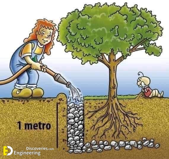 Metodo-para-plantar-arboles-en-las-principales-ciudades-5.jpg