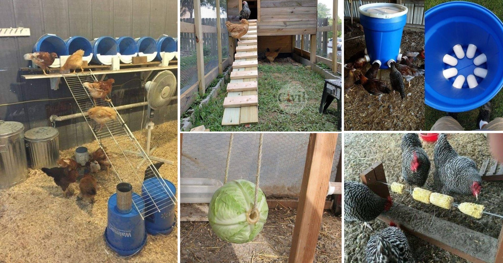 26+ Ideas To House, Entertain And Feed Your Chickens Engineering