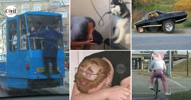 31 Funny Photos Without Context That Get Weirder The Longer You Look At ...