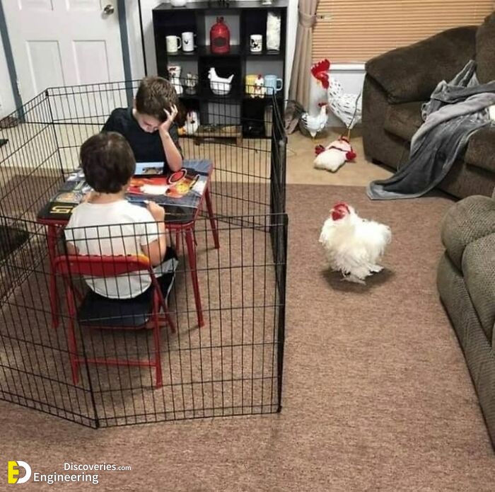 funny-humans-doing-human-things-17.jpeg