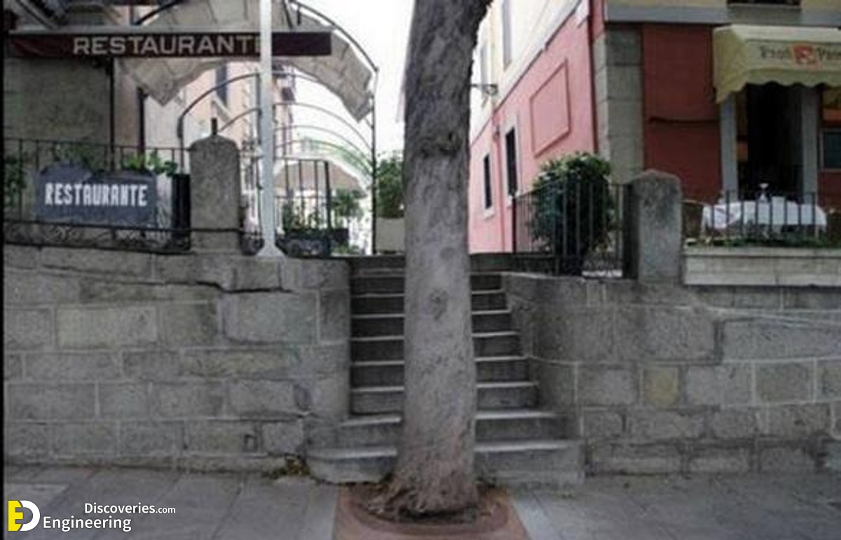 16d28cbf-27ba-4866-98df-d9d833df58ac.jpg