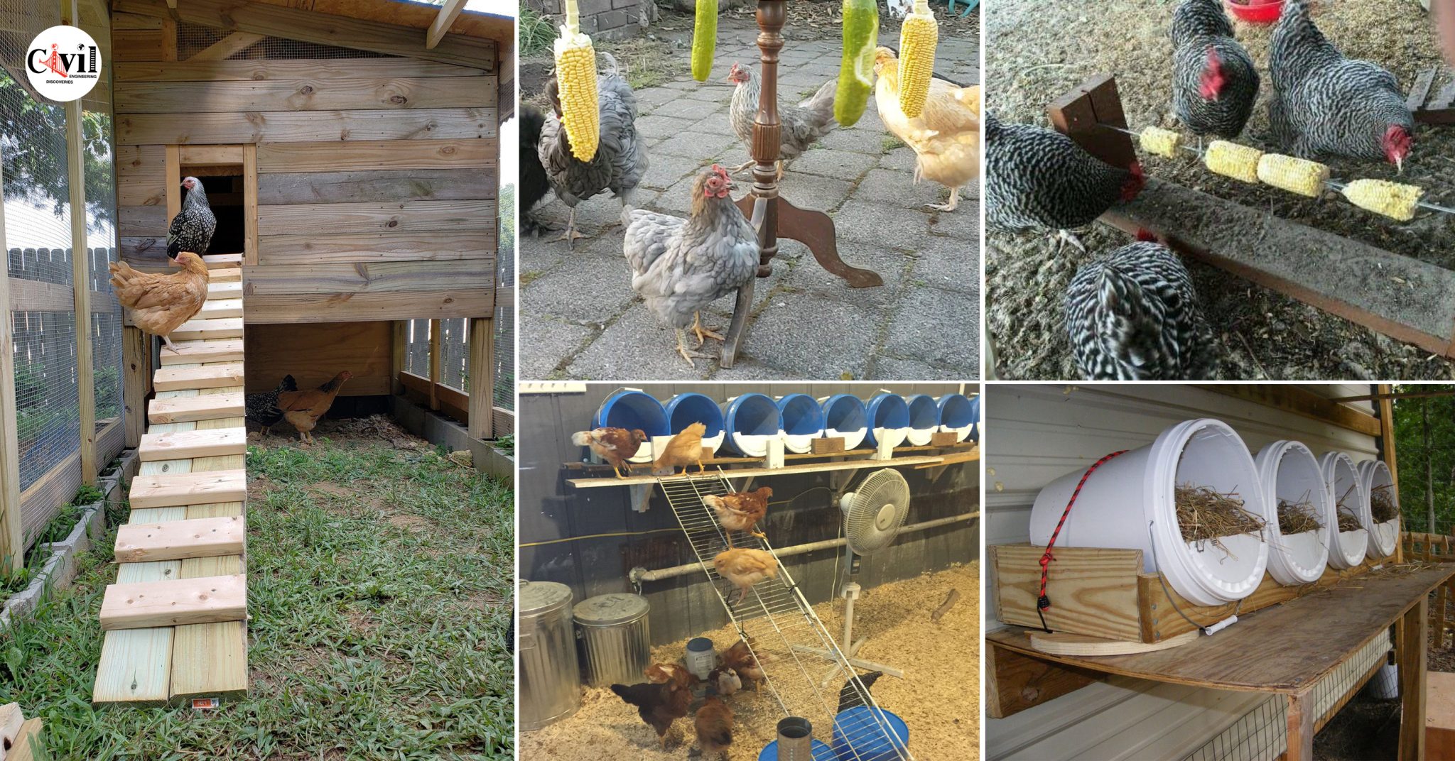 31-ideas-for-having-chickens-at-home-engineering-discoveries