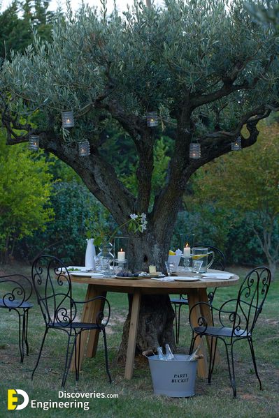 La-redoute-table-roots.jpg