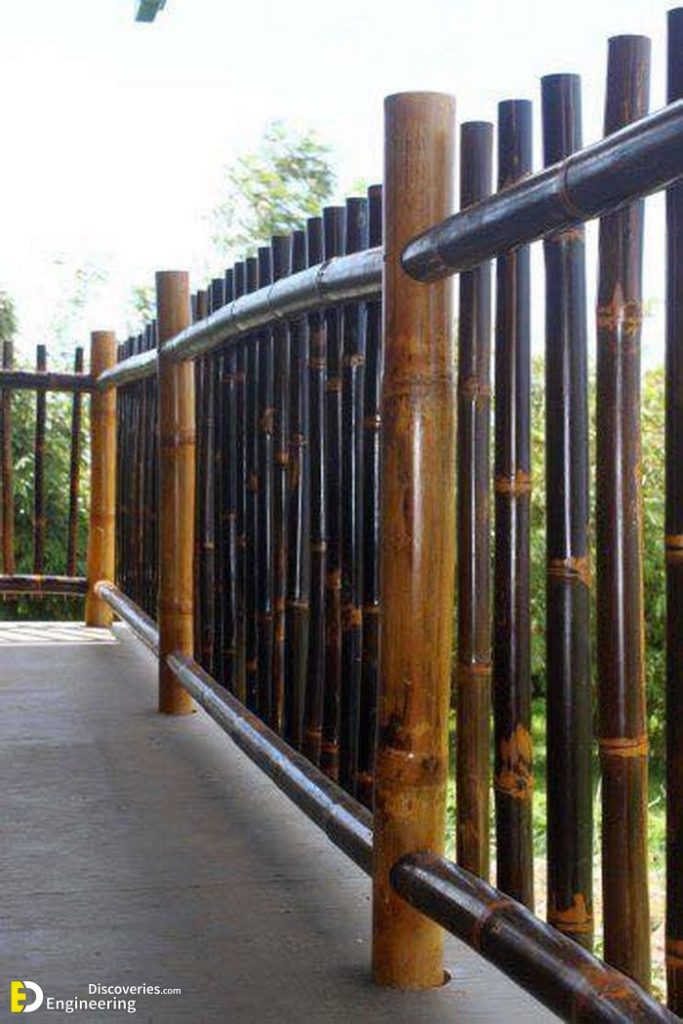 Top Creative Bamboo Fence Ideas Engineering Discoveries