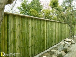 Top 40 Creative Bamboo Fence Ideas | Engineering Discoveries