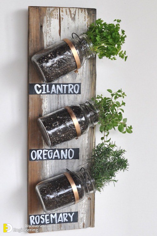 7DIY-Herb-Wall-Ideas.jpg