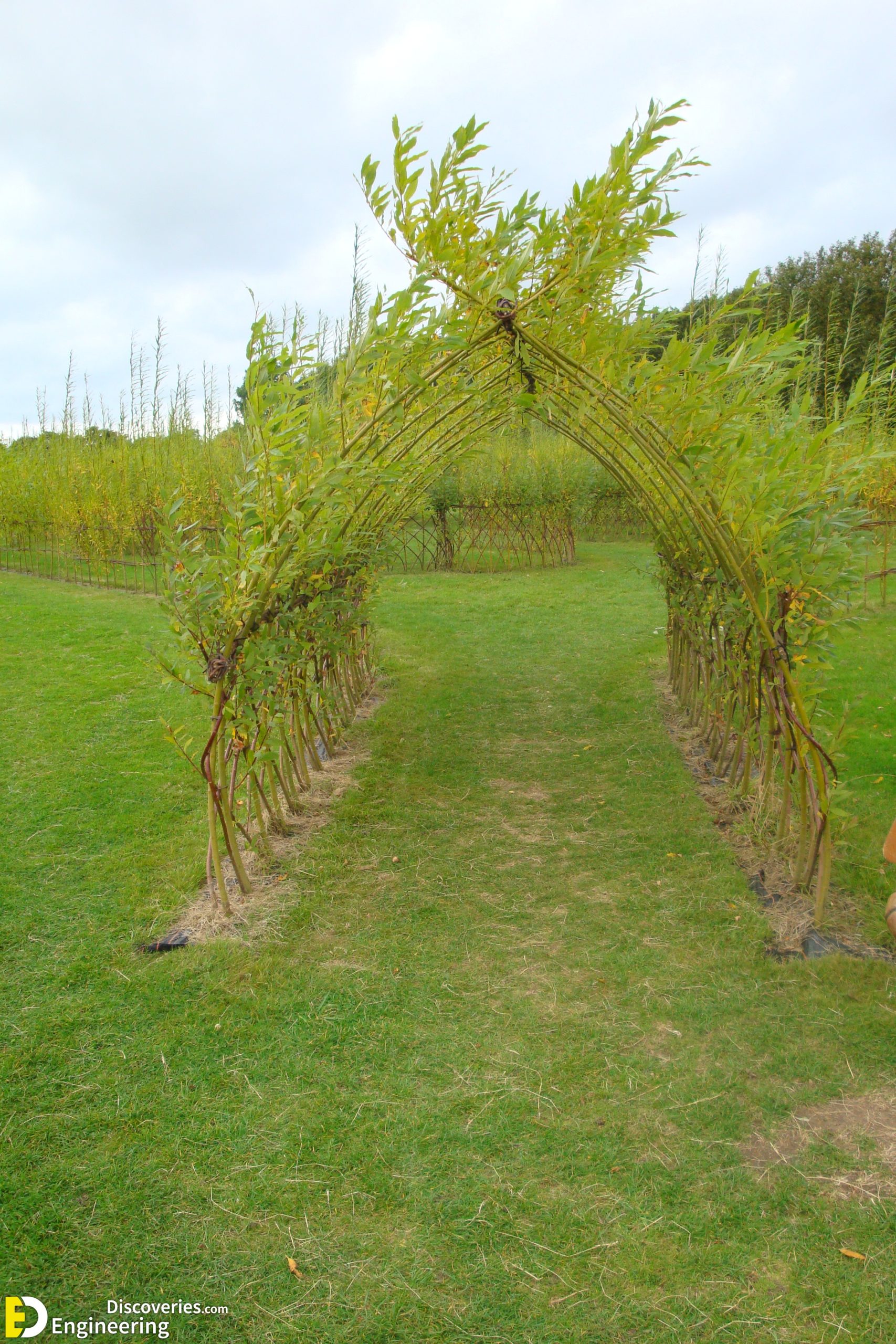 Autumn-029-scaled.jpg