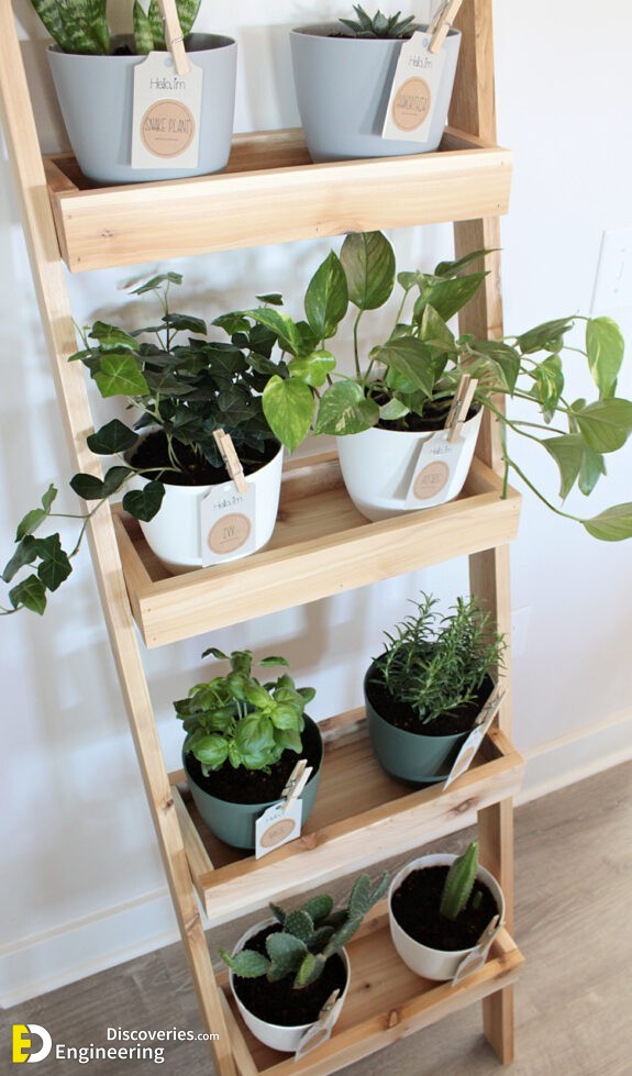 View-from-above-DIY-indoor-garden-ladder-small-575x1024-1.jpg