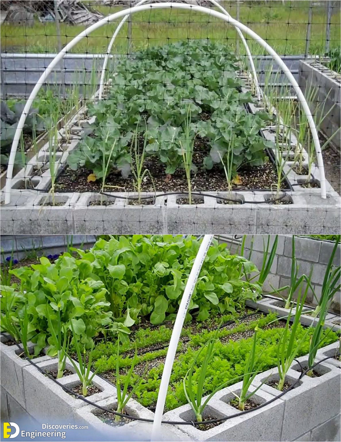 22-diy-raised-bed-gardens-ideas-designs-build-garden-boxes-planters-elevated-beds-CMU-concrete-cinder-block-flowers-vegetable-gardening-apieceofrainbow-1187x1536-1.jpg