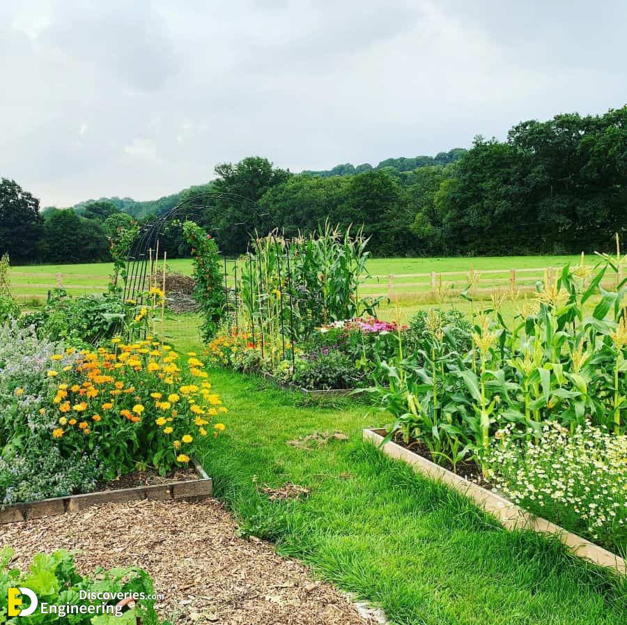 28-backyard-farm-raised-garden-bed-ideas-grow_your_own_grub.jpg