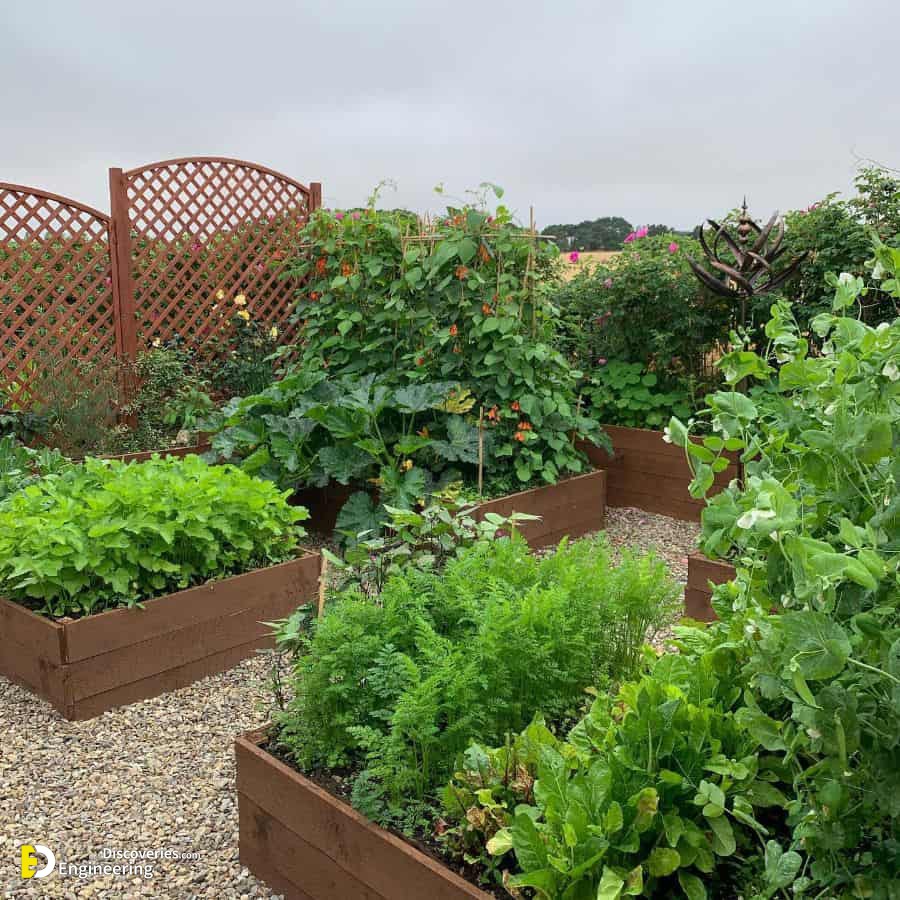 29-backyard-farm-raised-garden-bed-ideas-ianmacall.jpg