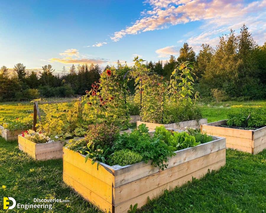 35-easy-raised-garden-bed-ideas-saltboxacres.jpg