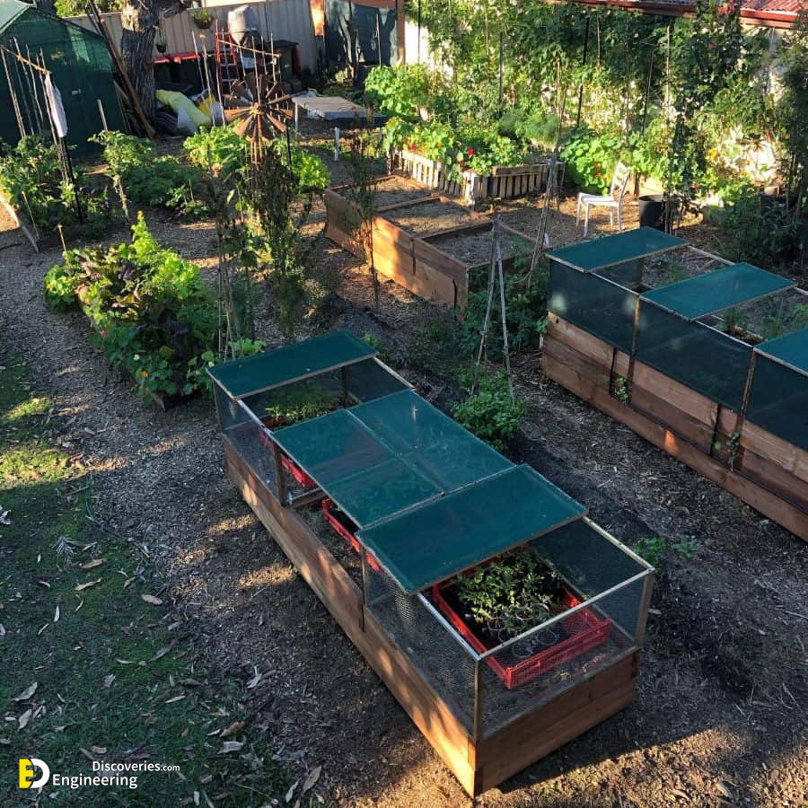 37-enclosed-raised-garden-raised-garden-bed-ideas-energygardensbrisbane.jpg