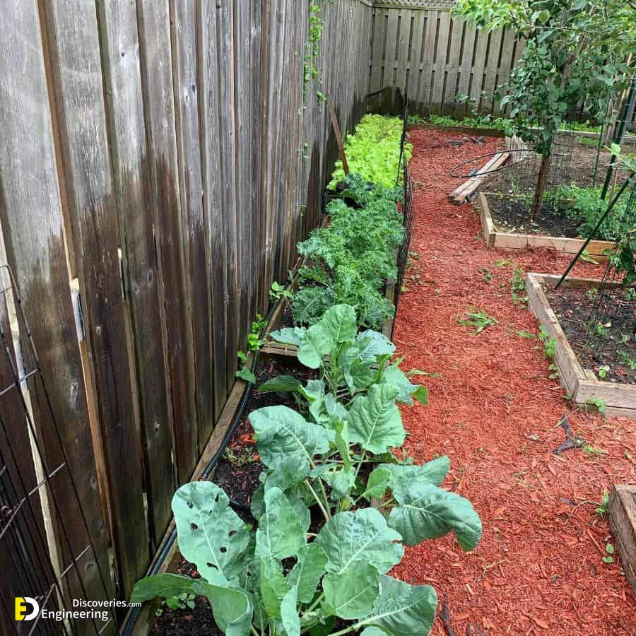 5-against-the-wall-raised-garden-bed-ideas-thebastionproject.jpg