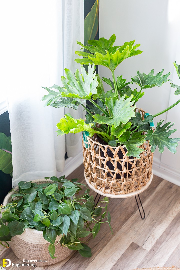 Metal-plant-table-DIY-using-paper-towel-holders.jpg