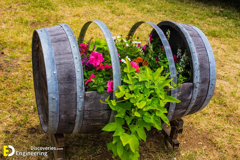 wine-barrel-used-as-planter-box-old-cut-out-94078036.jpg