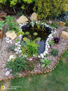 32 Small Pond Design Ideas For Gardens With Waterfalls | Engineering ...