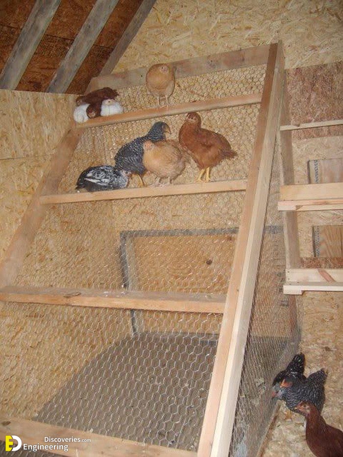 Chicken-Roost-11.jpg