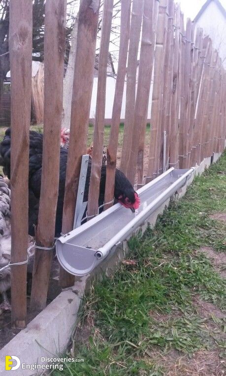 Clever-solutions-to-reduce-chicken-feed-waste-13.jpg