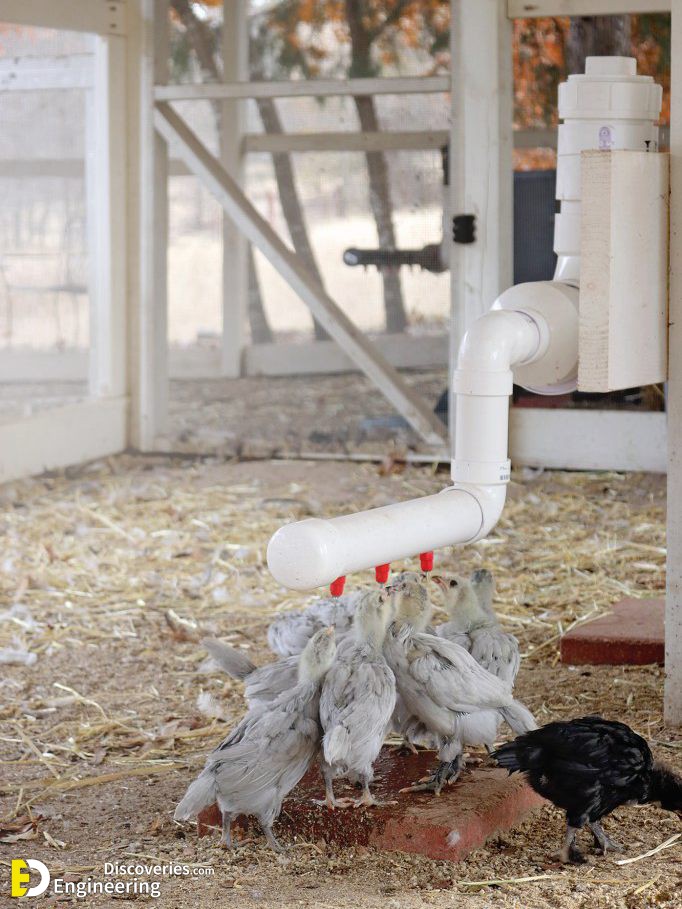DIY-Chicken-Waterer-And-Feeders-Ideas.jpg